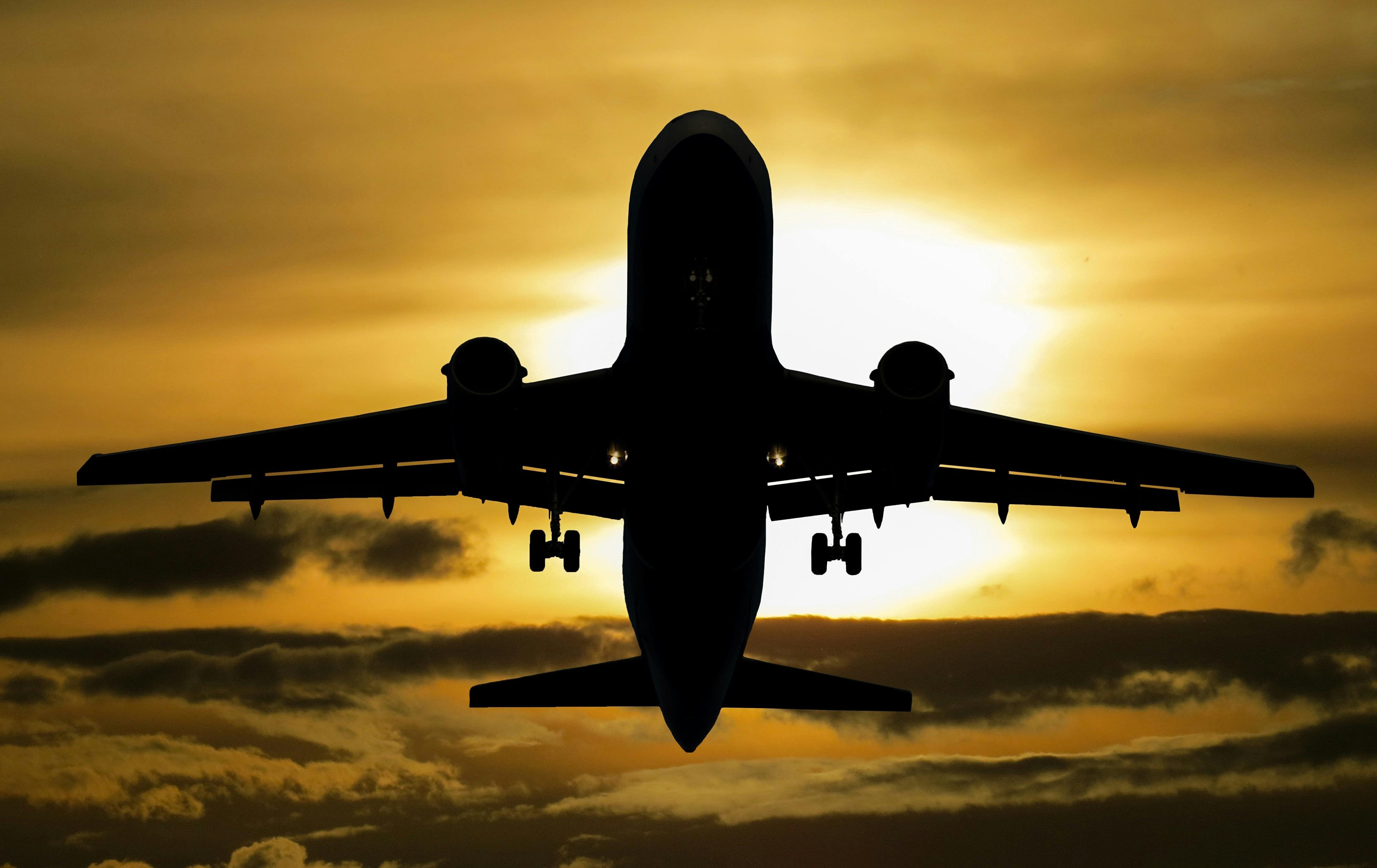 Inmigration Law Deportation